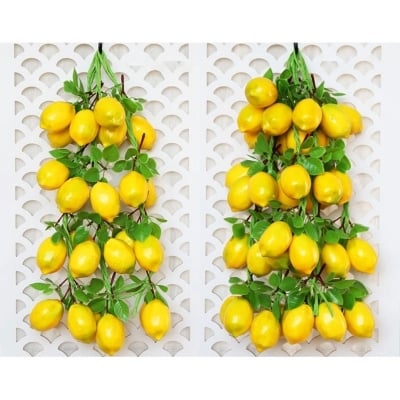 Picture of Artificial Decorative Fruit Foam Garlic Ginger Peanut Pepper Kitchen Decor Podazz-Lemon