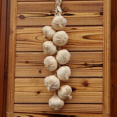 Picture of Artificial Decorative Fruit Foam Garlic Kitchen Decor Podazz-Off White