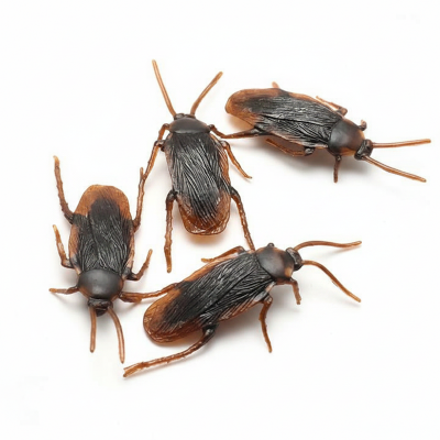 Picture of Children Realistic Toy Cockroach Prank Toy  