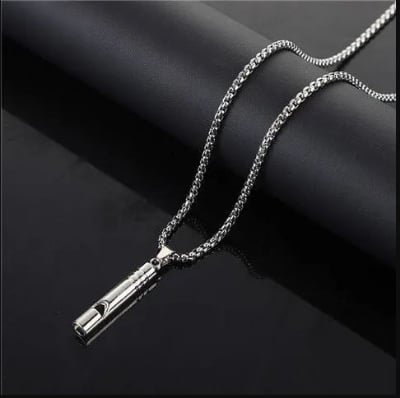 Picture of High Quality Fashion Jewellery Stainless Steel Chain Necklace For Men - Silver