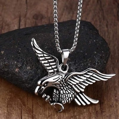 Picture of Stainless Steel Hawk Eagle Necklace Fly Animal Bird Falcon Pendant Chain For Men - Silver