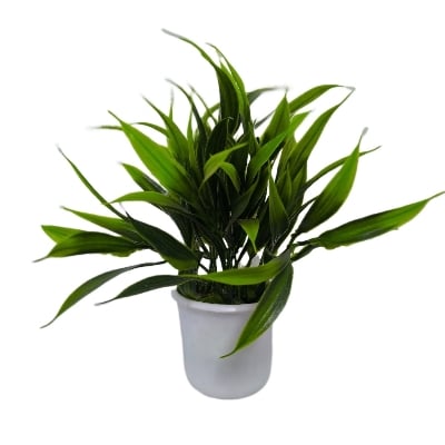 Picture of New rtificial Flower vase for decoration - Green