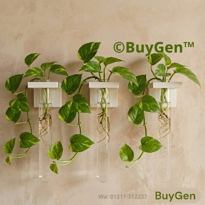 Picture of Wall Mounted Hydroponic Vase | 1/2/3 PCS Test Tube Plant Holder | Waterproof PVC Minimal Home Decor