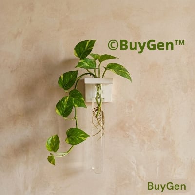 Picture of Wall Mounted Hydroponic Vase | 1/2/3 PCS Test Tube Plant Holder | Waterproof PVC Minimal Home Decor
