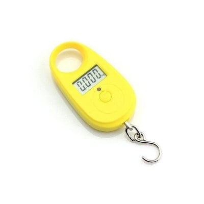 Picture of Electric Portable Scale