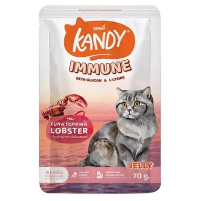 Picture of 1 PC Kandy Cat Wet Food Immune Formula 70g 70 gm