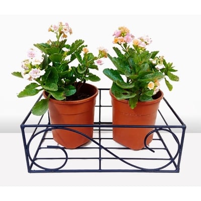 Picture of 1PC 12Inch Square Metal Hanging Railing Planters Flower Pot Holder Multicolor