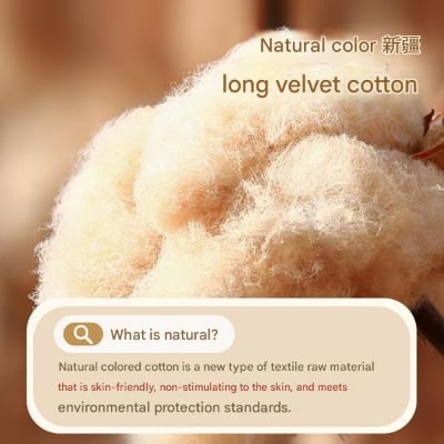 Picture of Organic Cotton Underwear  Boxer For Men Organic Wool Cotton Strap Waistband