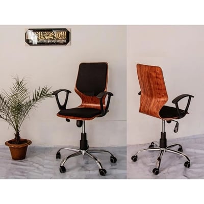 Picture of Furniture Finds FF-EC-09ss Orthopedic back supported computer chair