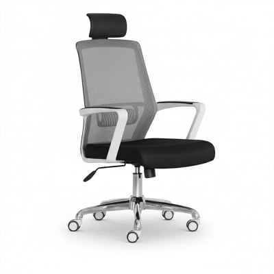Picture of Furniture Finds Smart Office Executive Chair with Headrest  FF-EC-15ss Ash Colour (37k Model) (Light Ash)