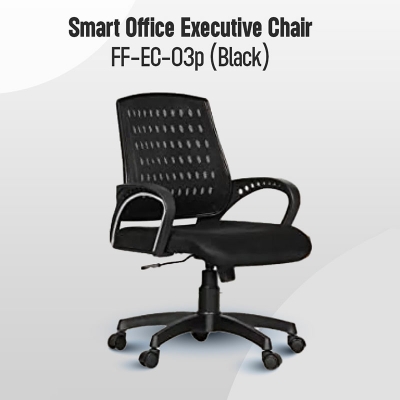 Picture of Furniture Finds FF-EC-03p Smart Office Executive Chair (Best Back Support Chair ) Dim-Mesh (Black)