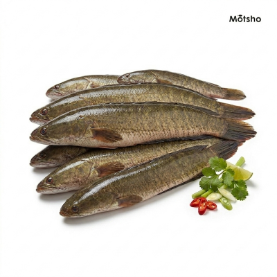 Picture of Shol (M) (500gm) (Ready To Cook) +/- 50gm
