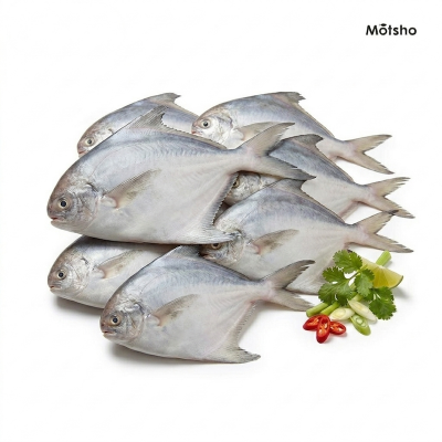 Picture of White Rupchada (S)(4-5 pcs) (500gm) +/- 50gm