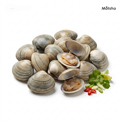 Picture of Clams (500gm) +/- 50gm