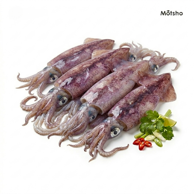 Picture of Whole Squid (500gm) +/- 50gm