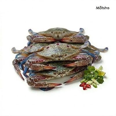 Picture of 3 Spot Crab (500gm) +/- 50gm