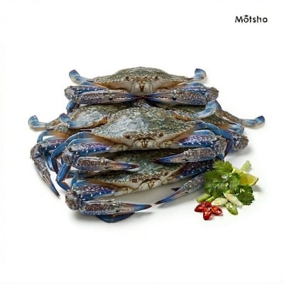 Picture of Blue Swimmer Crab (500gm) +/- 50gm