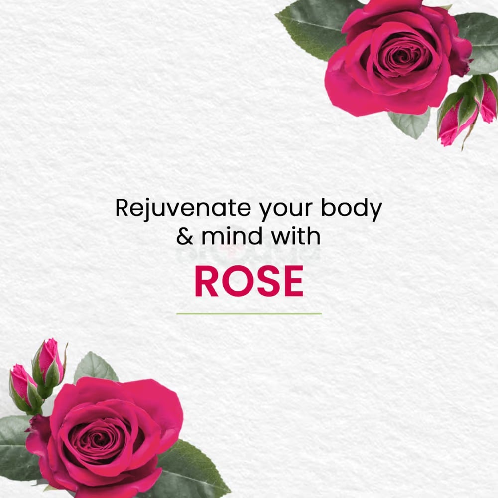 Picture of Himalaya Moisture Rich Rose Soap-100gm
