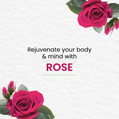 Picture of Himalaya Moisture Rich Rose Soap-100gm