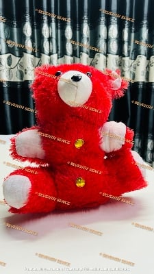 Picture of Taddy Bear Red Color (12 inch) By Gift Corner Shopping - Red