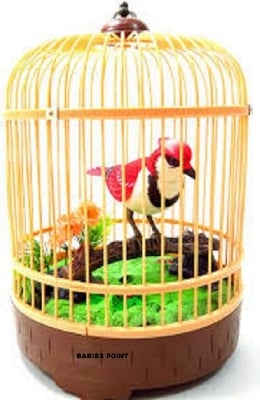 Picture of Exclusive Realistic Singing And Chirping Bird - Multicolor