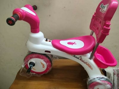 Picture of Rock Rider toys