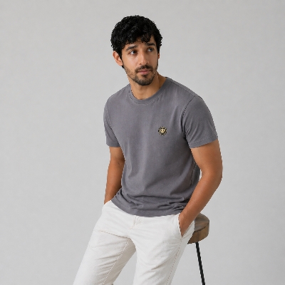 Picture of Winner Mens Ash T Shirt  - gray