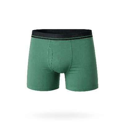 Picture of WINNER MEN'S Green Perfeto Boxer  - green