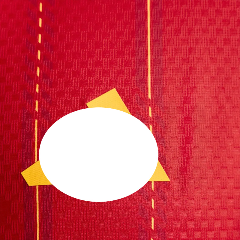 Picture of Spain 2026 World Cup Home Jersey Player Edition