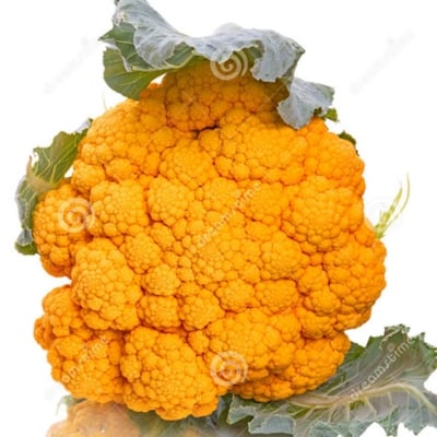 Picture of Yellow broccoli seeds (broccoli) - 20 pieces