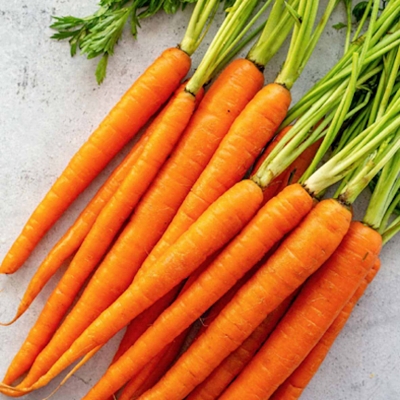 Picture of Carrot Seeds Good Quality