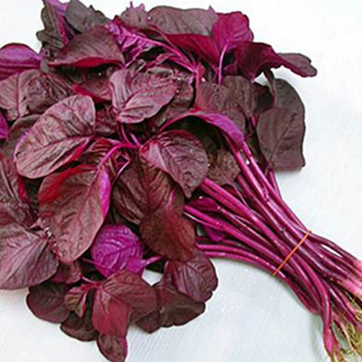 Picture of Lal Shak/Red Spinach Seeds -1000+ Pieces (Red Seed Seed Intek Pack)