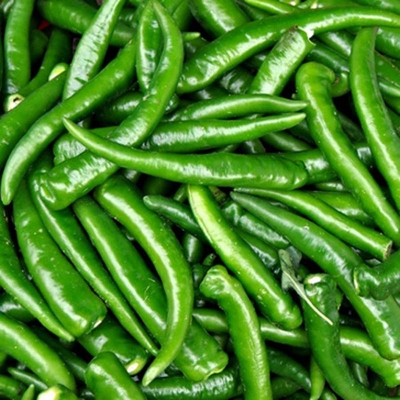 Picture of F1 Hybrid Pepper Lightning Plus Seed -30 Pitch