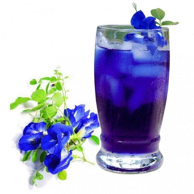 Picture of Clitoria ternatea , Butterfly pea Flower Seeds in Botanic Garden- 5 Pcs