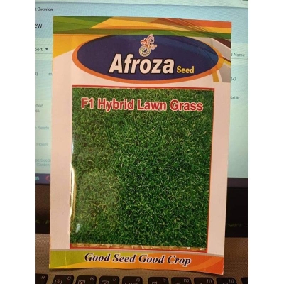 Picture of 1000 piss intact F-1 hybrid lawn grass/carpet grass seed (intact packet)
