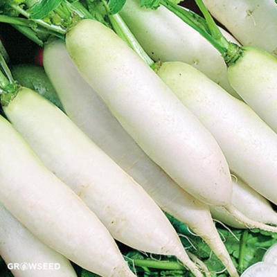 Picture of White mula seeds 100 pitch (white radish seed good quality -100 pc)