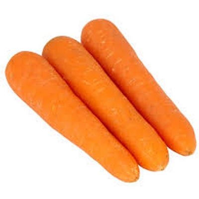 Picture of Carrot Seeds Good Quality-100+ Pieces (Carrot Seed Intake Packet)