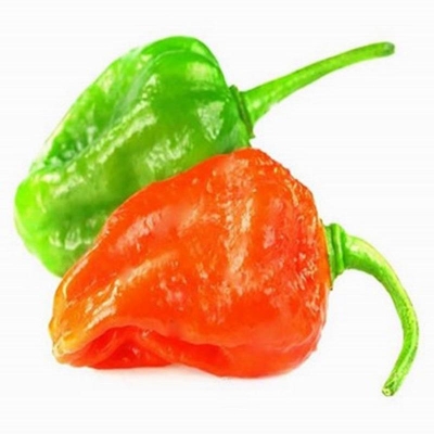 Picture of Naga Chili Seeds - 25pcs Intek Packet (Bermassi Bombay Chilli Seed Intake Packet)