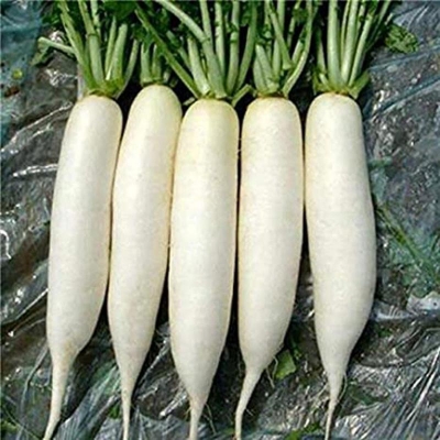 Picture of White Radish Seeds Good Quality-200+ Peaces (White Mula Seed Intake Packet)