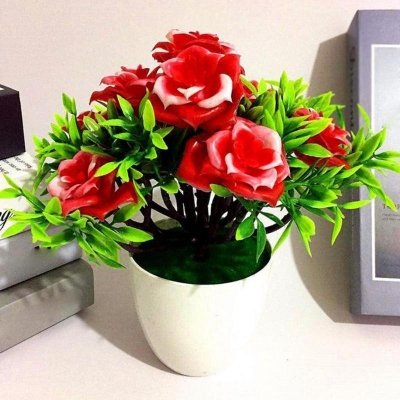 Picture of 10 Piece Seed Share to Be Partner with the same type of item in bonsai seed plant pot flower seed sorting purifier