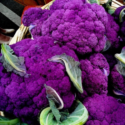 Picture of Broccoli Seed Purple Bonsai Vegetable Seed -20 Piece (Seed- 20 Piece)