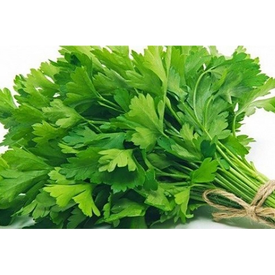 Picture of Garden/Tob Coriander Seeds - 50 Pieces Intct Packets