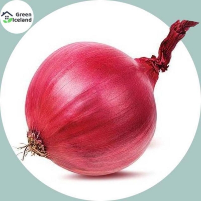 Picture of 100 pieces of global red onion seeds (pose seed) -100 pc seeds
