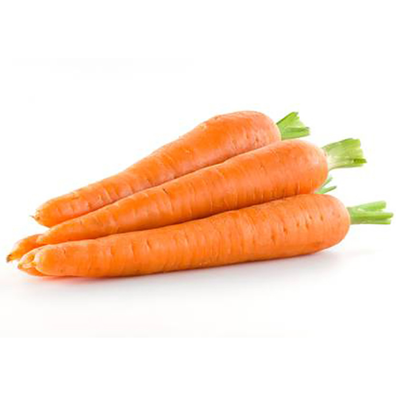 Picture of Carrot Seeds Good Quality