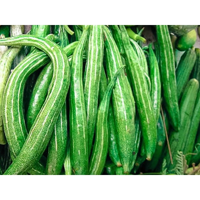 Picture of Kushi/ cichinga seeds (Kushi/ Chichinga Seed) - 10 PCS Intake Pack
