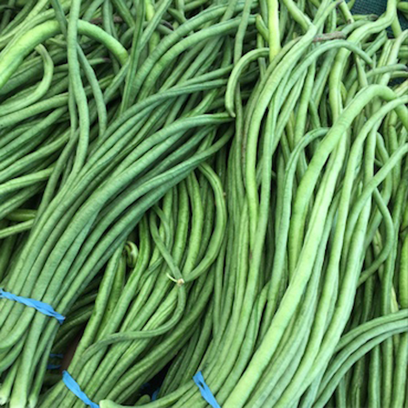 Picture of Long Bean Seeds- 10+Pieces