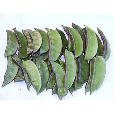 Picture of Red Bean Seeds (Red Shim Seeds) -10 Peaces