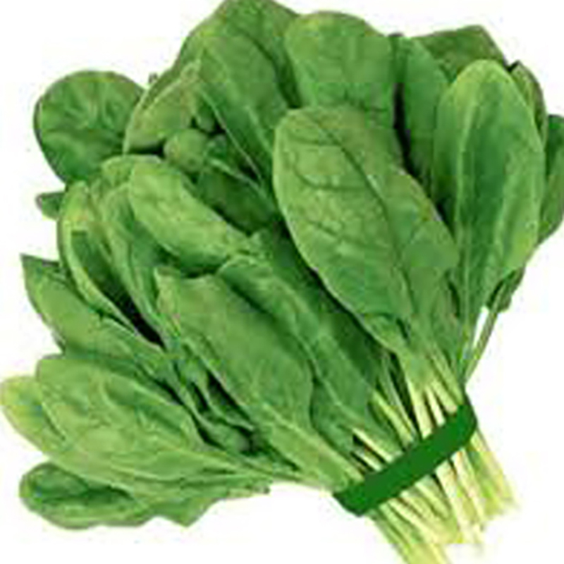 Picture of Palong spinach seeds (bedding seeds)- 100 PCS Intct packets