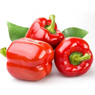 Picture of Capsicum Seeds- 10 Pieces Intek Pack (Capsicum Seed)