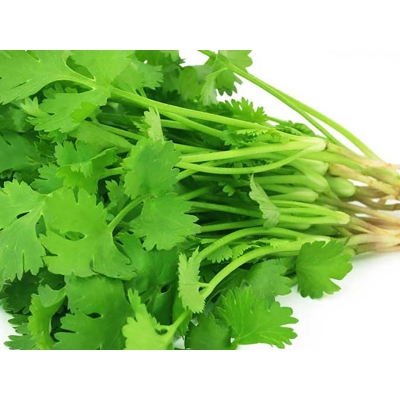 Picture of Garden/Tob Coriander Seeds - 50 Pieces Intct Packets